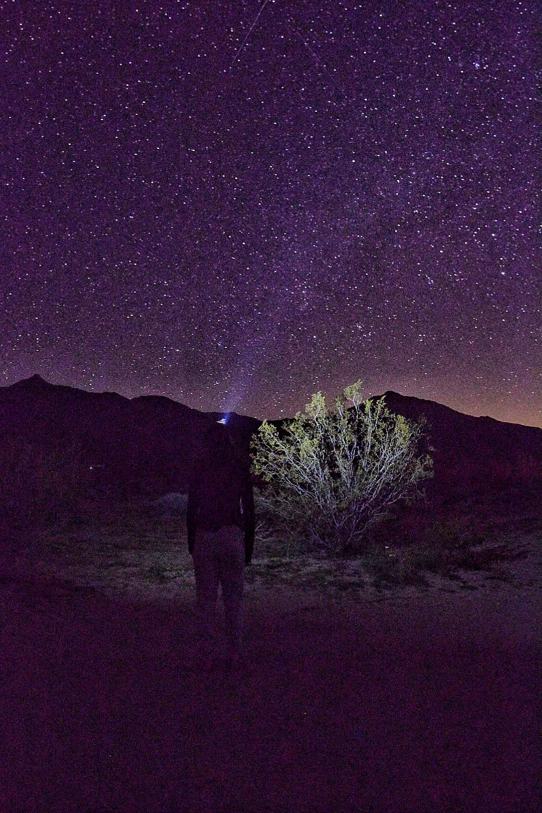 Mojave National Preserve