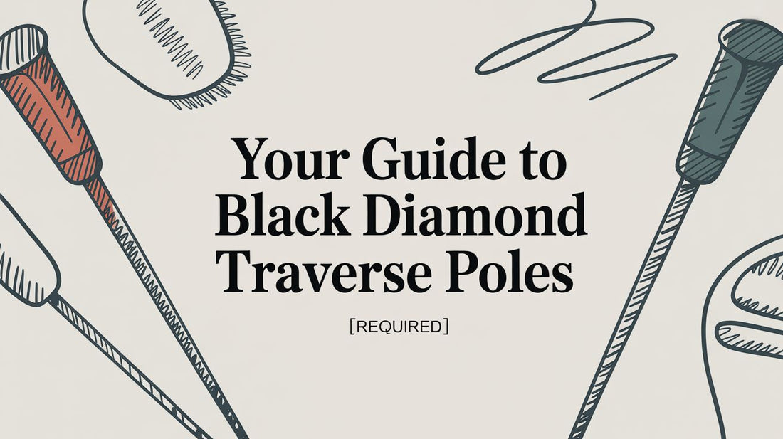 Your Guide to Black Diamond Traverse Poles
